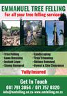 Emmanuel Tree Feeling Projects