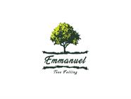 Emmanuel Tree Feeling Projects