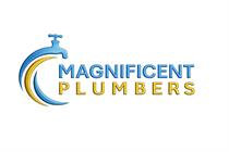 Magnificent Plumbers