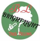 Bright Light Private Company