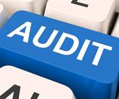 Pacioli Audit Solutions