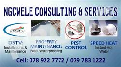 Ngcwele Consulting and Services