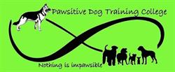 Pawsitive Dog Training College