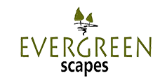 Evergreenscapes