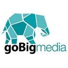 Go Big Media