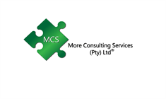 More Consulting Services