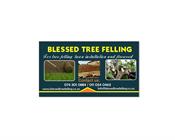 Blessed Tree Felling And Instant Lawn