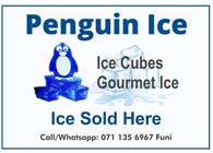 Penguin Ice