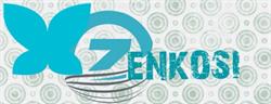 Zenkosi Investments Pty Ltd