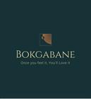 Bokgabane Development And Training