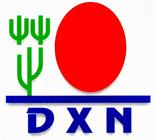 Syntek Global