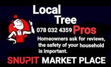 Local Tree Pro's Cape Town