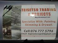 Teisetso Trading And Projects