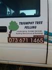 Triumphy Tree Felling