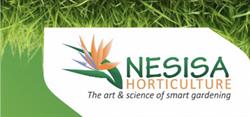 Nesisa Projects