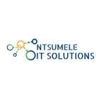 Ntsumele IT Solutions
