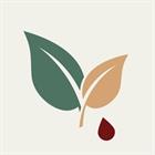 B Green Pty Ltd