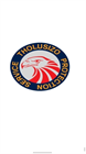 Tholusizo Nkomo Trading And Projects