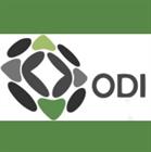 ODI Electrical & Appliance Repair
