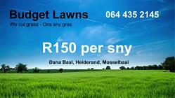 Budget Lawns Mosselbay