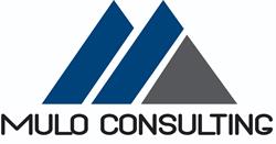 Mulo Consulting Services