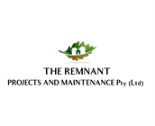 The Remnant Projects And Maintenance