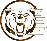 Grizzly Tech