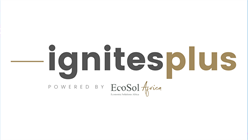 IgnitesPlus