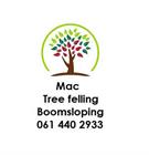 Mac Tree felling services