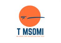 T Msomi