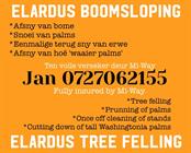 Elardus Boomsloping