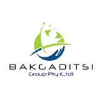 Bakgaditsi Group