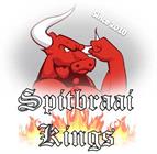 Spitbraai Kings RSA