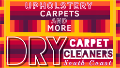 Dry Carpet Cleaners South Coast