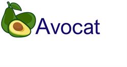 Avocat Projects