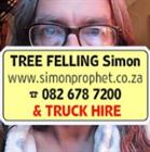 Simon Prophet Tree Felling Services