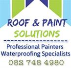Roof & Paint Solutions