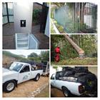 Alex Tree Felling And Removals