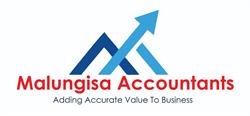 Malungisa Accountants