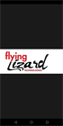 Flying Lizard Technologies