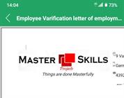 Masters Skills Projects