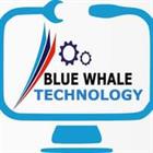 Blue Whale Solutions