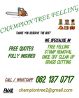Champion Treefelling