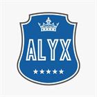 Alyx Custom Software