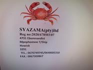 Syazamq