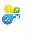 True Blue Home Projects