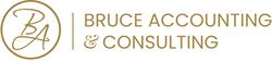 Bruce Accounting And Consulting