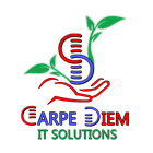 Carpe Diem IT Solutions