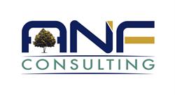 ANF 2 Consulting