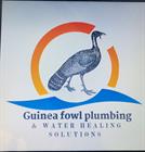 Guinea Fowl Plumbing And Sun Water Heating